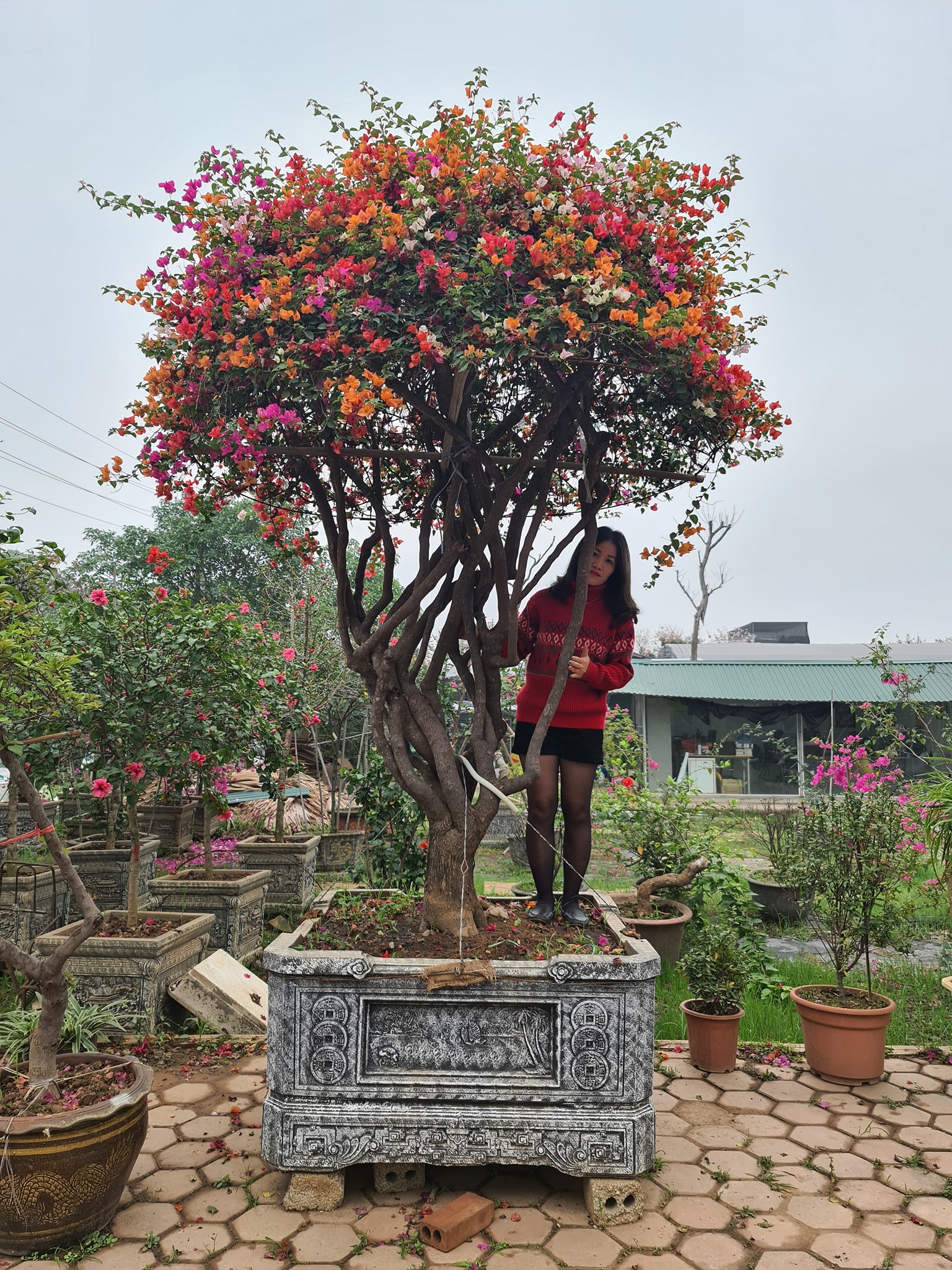 Nguyễn Thị Duyên