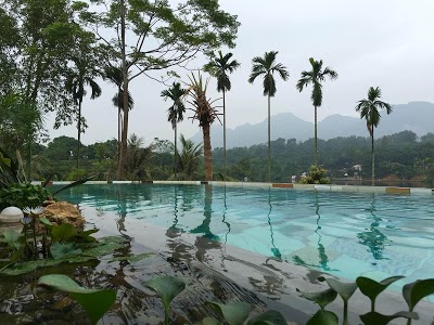 DỰ ÁN THÊM SẮC HOA CHO KHU NHÀ VƯỜN MIẾU MÔN - CHƯƠNG MĨ