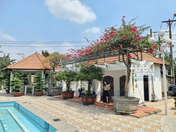 DỰ ÁN TRỒNG VÀ CHUYỂN CÂY GIẤY CẢNH VỀ BÌNH DƯƠNG