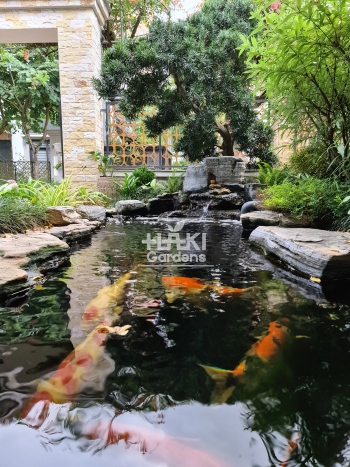 DỰ ÁN HỒI SINH SÂN VƯỜN TẠI BIỆT THỰ CHO KHÁCH Ở TÂY HỒ